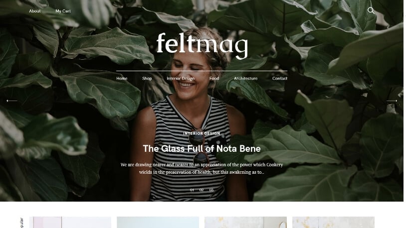 Felt WordPress theme