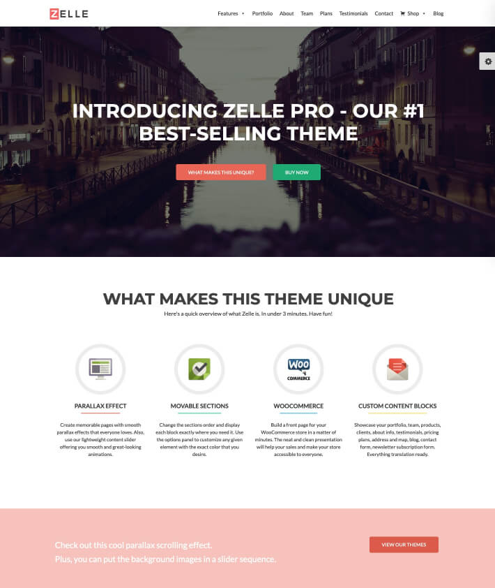 Zelle Pro